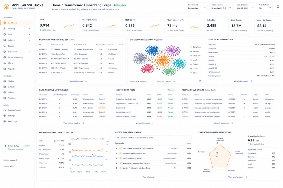 Domain Transformer Embedding Forge project visual